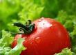 Ezme: Spicy Tomato Salad