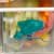 Best Ways to Store Food