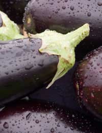 Aubergine And Chilli Pepper Salad