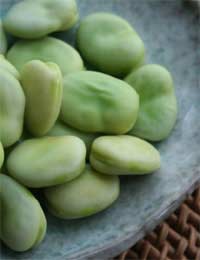 Broad Bean Salad